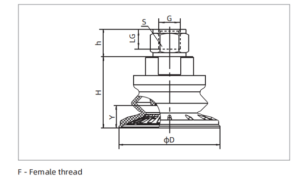 Dimensions 1.5 Bellows Suction Cup Special for Metal Sheet F-Female