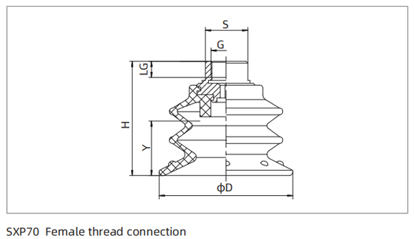 Dimensions PU Bellows Suction Cup SXP70 Female Thread Connection