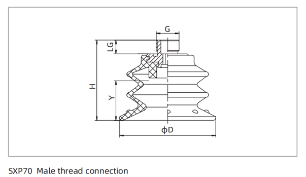 Dimensions PU Bellows Suction Cup SXP70 Male Thread Connection