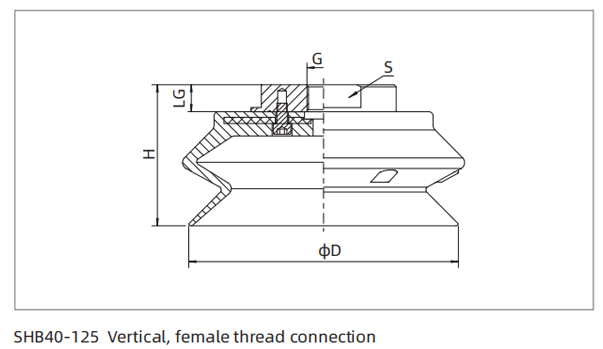 Dimensions Heavy Load Bellows Suction Cup SHB40-125 Vertical Female Thread Connection