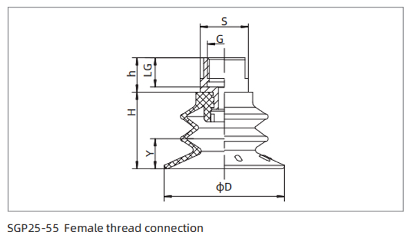 Dimensions PU Bellows Suction Cup SGP25-55 Female Thread Connection